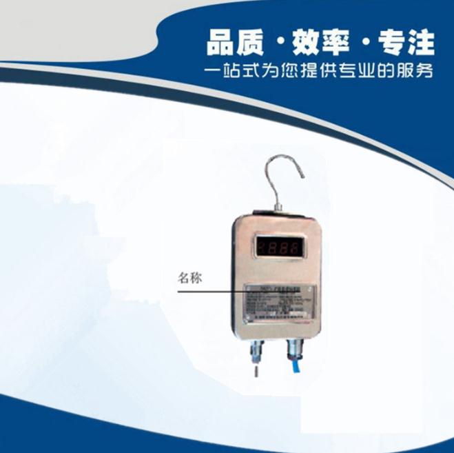 GWD100矿用温度传感器